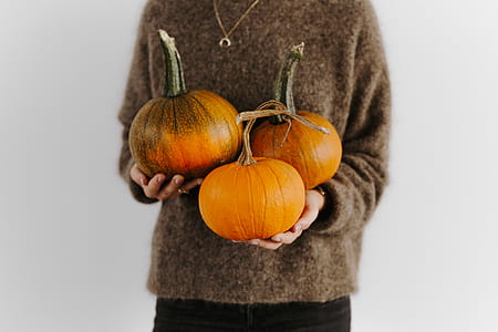 Women's hands in sweater are holding pumpkin thumbnail