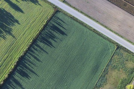 aerial view of green grass field thumbnail