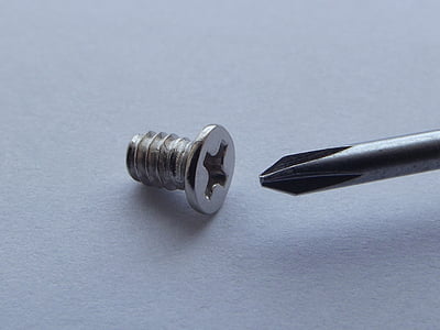 silver screw thumbnail