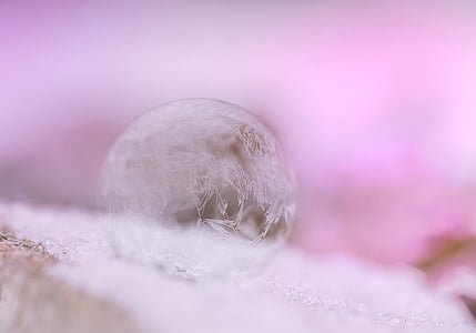 photography of frost bubble thumbnail
