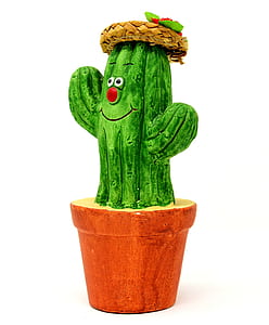 cactus plant decor with white surface thumbnail