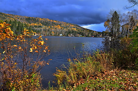 trees and mountain near water at daytime thumbnail