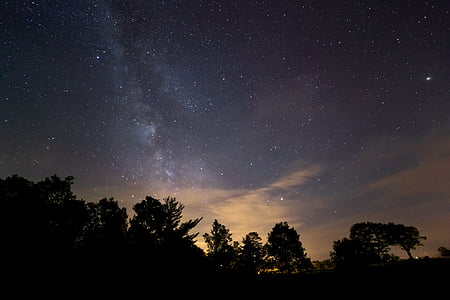 silhouette of trees under starry night thumbnail