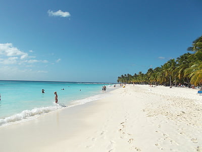 beach seashore thumbnail