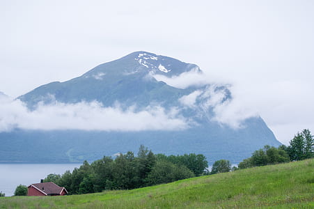 barn near sea under white sky thumbnail