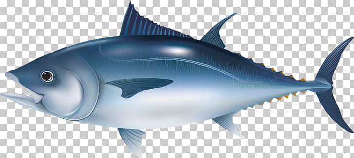 template-ppt-ikan-free-contoh-gambar-template