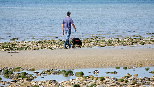 man and adult black Labradro retriever walking on seashore thumbnail