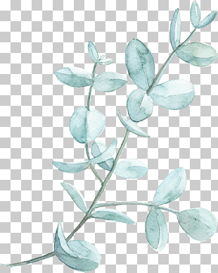 Leaf Watercolor painting , Watercolor green leaves, gray plant PNG clipart