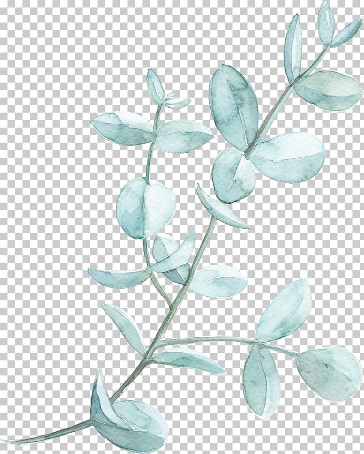 Leaf Watercolor painting , Watercolor green leaves, gray plant PNG clipart