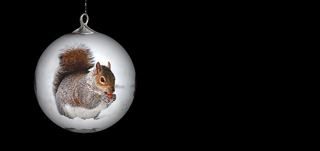 squirrel-printed bauble ornament in dark place thumbnail