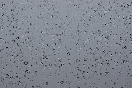 water dew wallpaper thumbnail