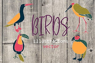 Birds Hand Drawn Cliparts