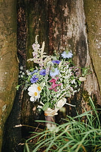 white daisy flower, blue cornflowers, and blue nigella flowers bouquet thumbnail