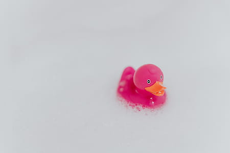 Pink rubber ducky in foam thumbnail