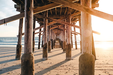 brown and gray sea dock thumbnail