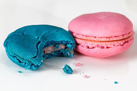 blue and pink muffin on white surface thumbnail