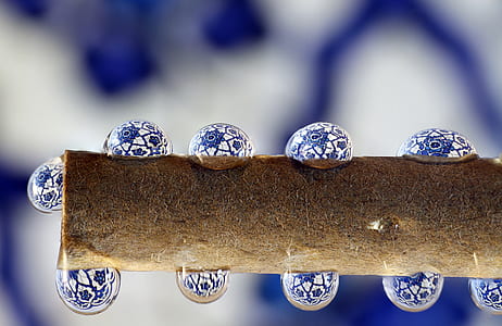 selective focus photography ofg water drops on brown tree branch thumbnail