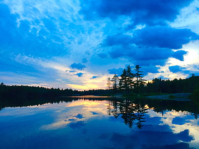 landscape photography of trees thumbnail