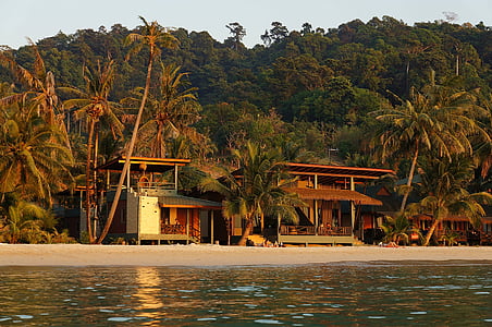 house infront of beach near forest mountain thumbnail