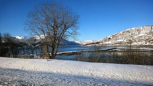 Mountain Across Body of Water Under Clear Blue Sky thumbnail