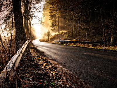 road between plants with sunlight beams thumbnail