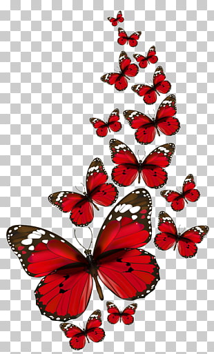 Butterfly , Red Butterflies , red-white-and-black butterflies illustration PNG clipart