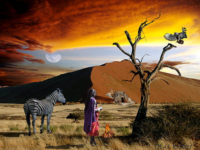 zebra beside woman standing beside leafless tree thumbnail