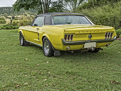 gray and green coupe on green grass thumbnail