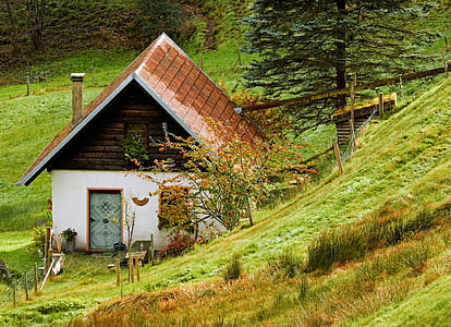white and brown shack near hill and trees thumbnail