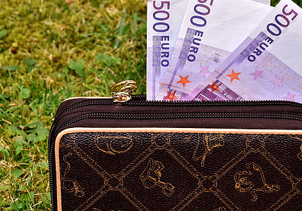 monogrammed black and brown leather long wallet opened with three 500 Euro banknotes thumbnail