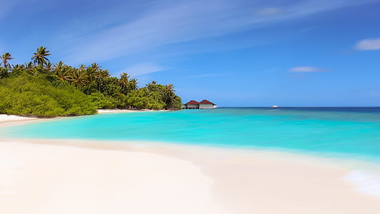photograph of beach shore with house thumbnail