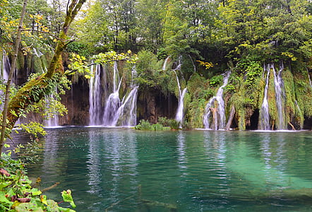 calm body of water surrounding by trees thumbnail