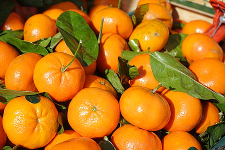 pile of orange fruits thumbnail