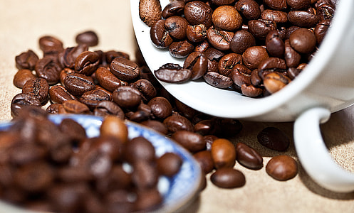 coffees in cup thumbnail