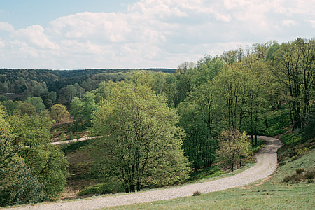 Country road thumbnail