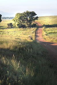 brown road between grass during daytime thumbnail