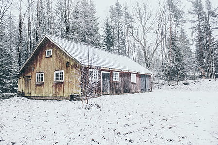 brown house in forest thumbnail