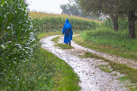 woman in blue sari dress walking on pathway during day thumbnail