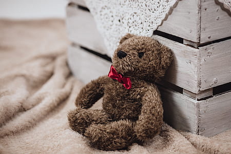 cute, teddy bear, toy, stuffed toy thumbnail