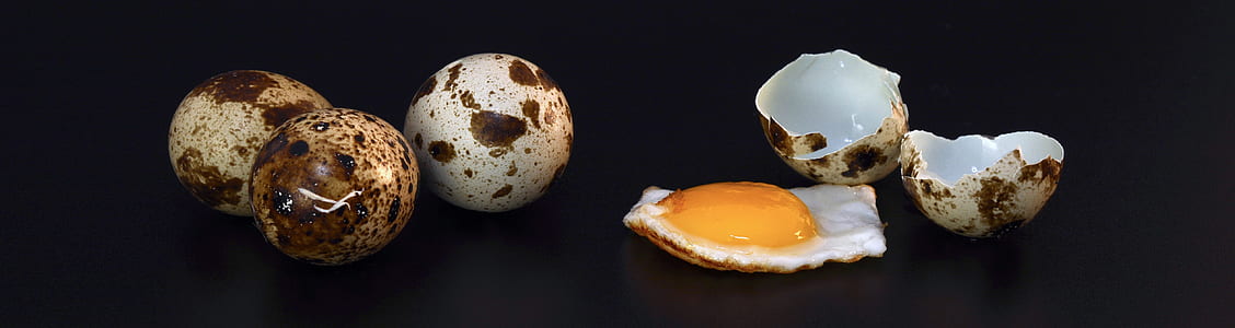 quail eggs thumbnail