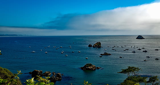 aerial photography of beach shore thumbnail
