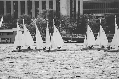 sailboats at the beach in grayscale photo thumbnail