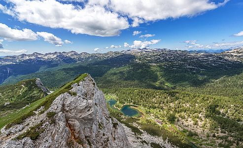 cliff facing forest under cloudy sky thumbnail