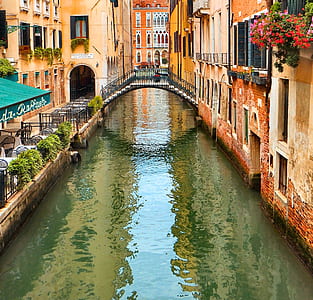 Venice Canal, Italy during daytime thumbnail