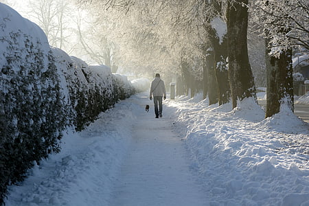 person walking with pet on snow-covered field during daytime thumbnail