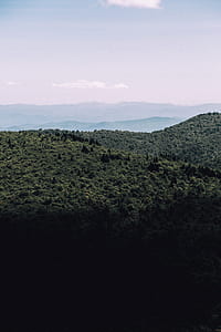 green forest mountain view during daytime thumbnail
