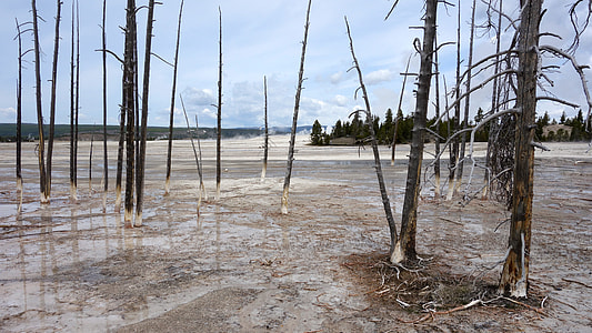 National Park, Yellowstone thumbnail