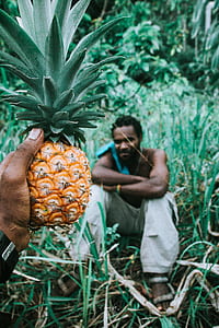 person holding pineapple thumbnail
