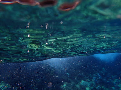 photo of underwater thumbnail