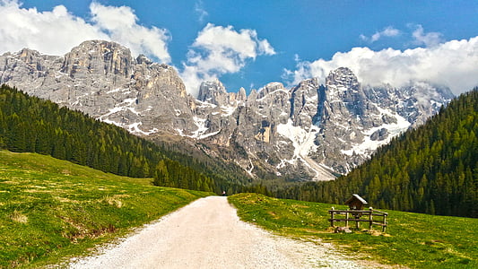 landscape photo of road towards green trees and mountain range thumbnail